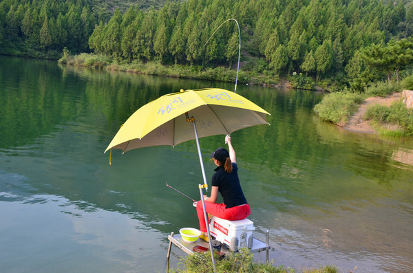 七個觀點告訴你，年輕人不要釣魚！
