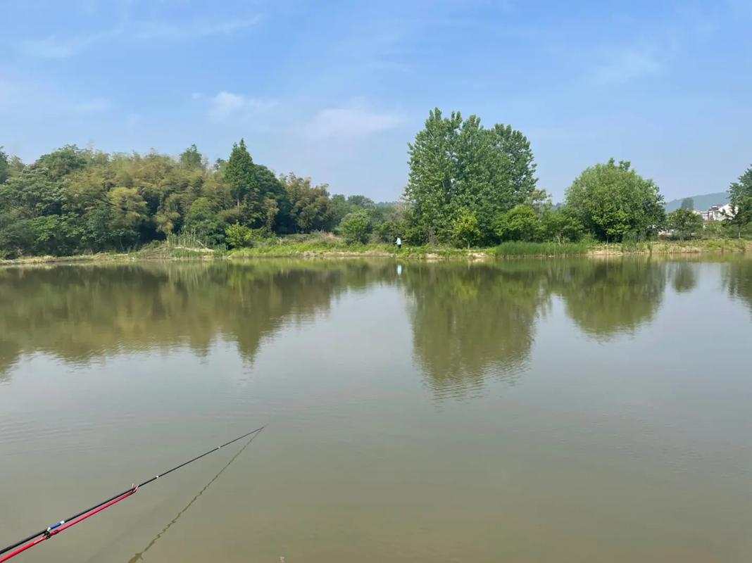 【漲知識】釣魚專用術語解析大全